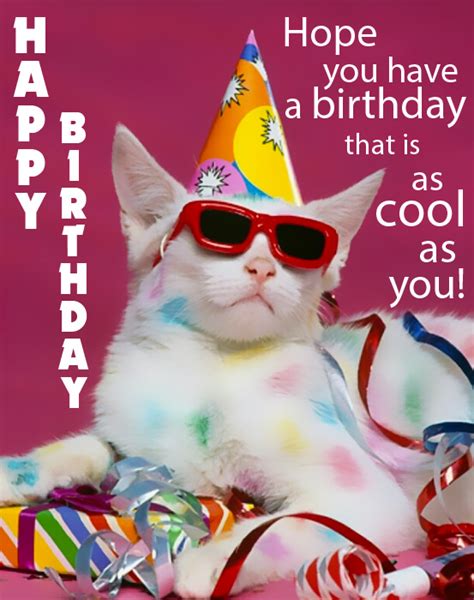 Don't forget to finish with a heartfelt <b>birthday</b> message using our. . Free funny birthday ecards